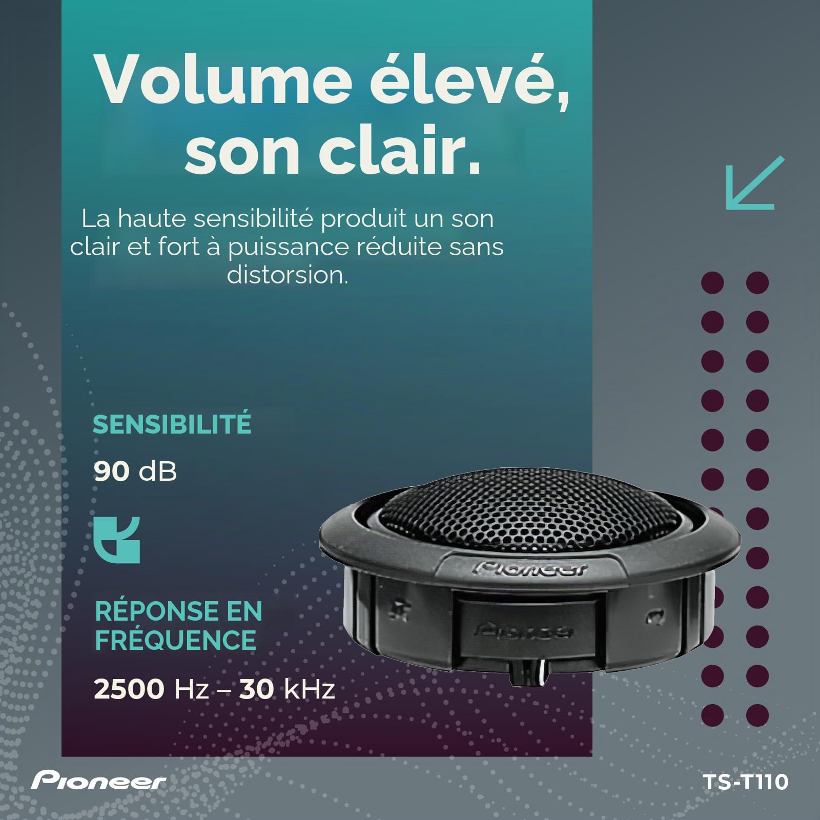 Pioneer ts-t110 120 W 40rms Rigide Tweeter Dôme