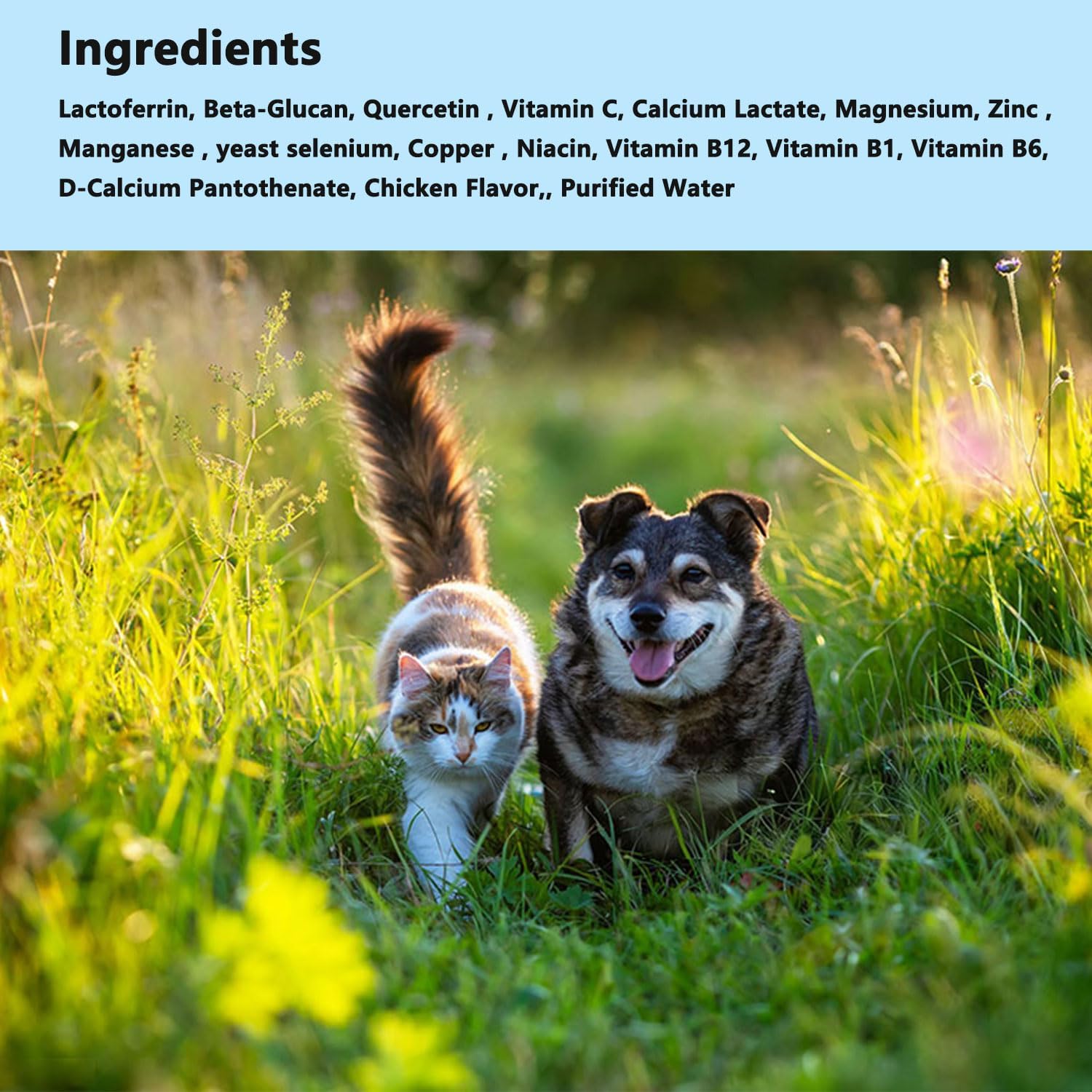Lactoferrin for Dogs & Cats - 2 fl oz Chicken Flavor ，Support Immune System, Bone & Joint Health, with Digestive and Skin Support for Pets