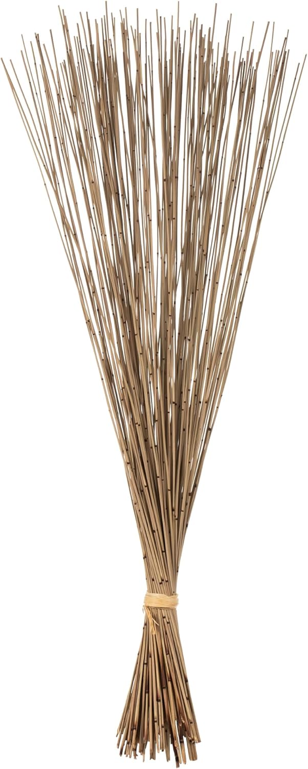 Vickerman 30" Natural Marsh Reed Bundle Tied with Rafia, 10 oz, Dried