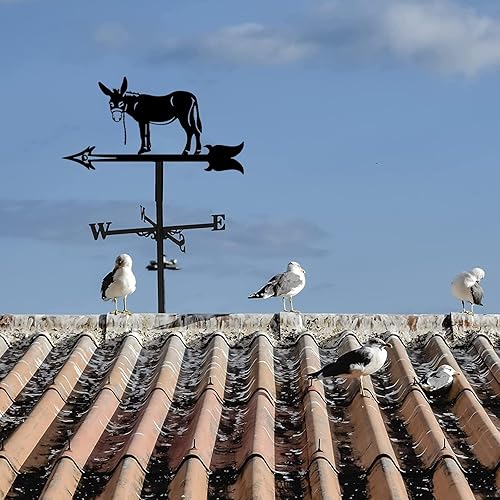 Miniatura 5 de Exquisito adorno de metal para veleta meteorológica, estilo europeo, burro forjado, veleta de hierro, decoración de techo, kit indicador de
