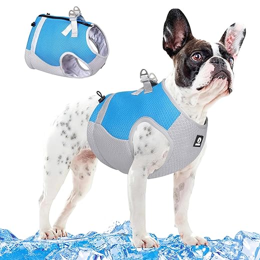 SMALLLEE_LUCKY_STORE Cooling Vest for Small Medium Dog Step-in Mesh Harness Cool Jacket Pet Evaporation Cooler Coat, Sun-Proof UV Protection Reflective Breathable for Summer Outdoor Travel,Orange,L