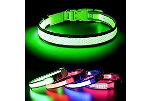 Bseen LED Dog Collar Light - Illuminating Dog Collar for Nighttime Safety