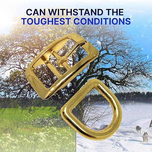 Miniatura 12 de Regal Dog Products 1" Inch Double Bar Buckle and Matching D-Ring in Nickel Plated Hardware (6-pack)