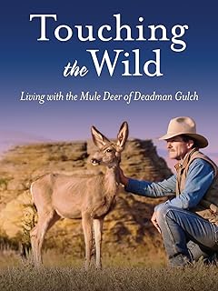 Touching the Wild: Living with the Mule Deer of Deadman Gulch