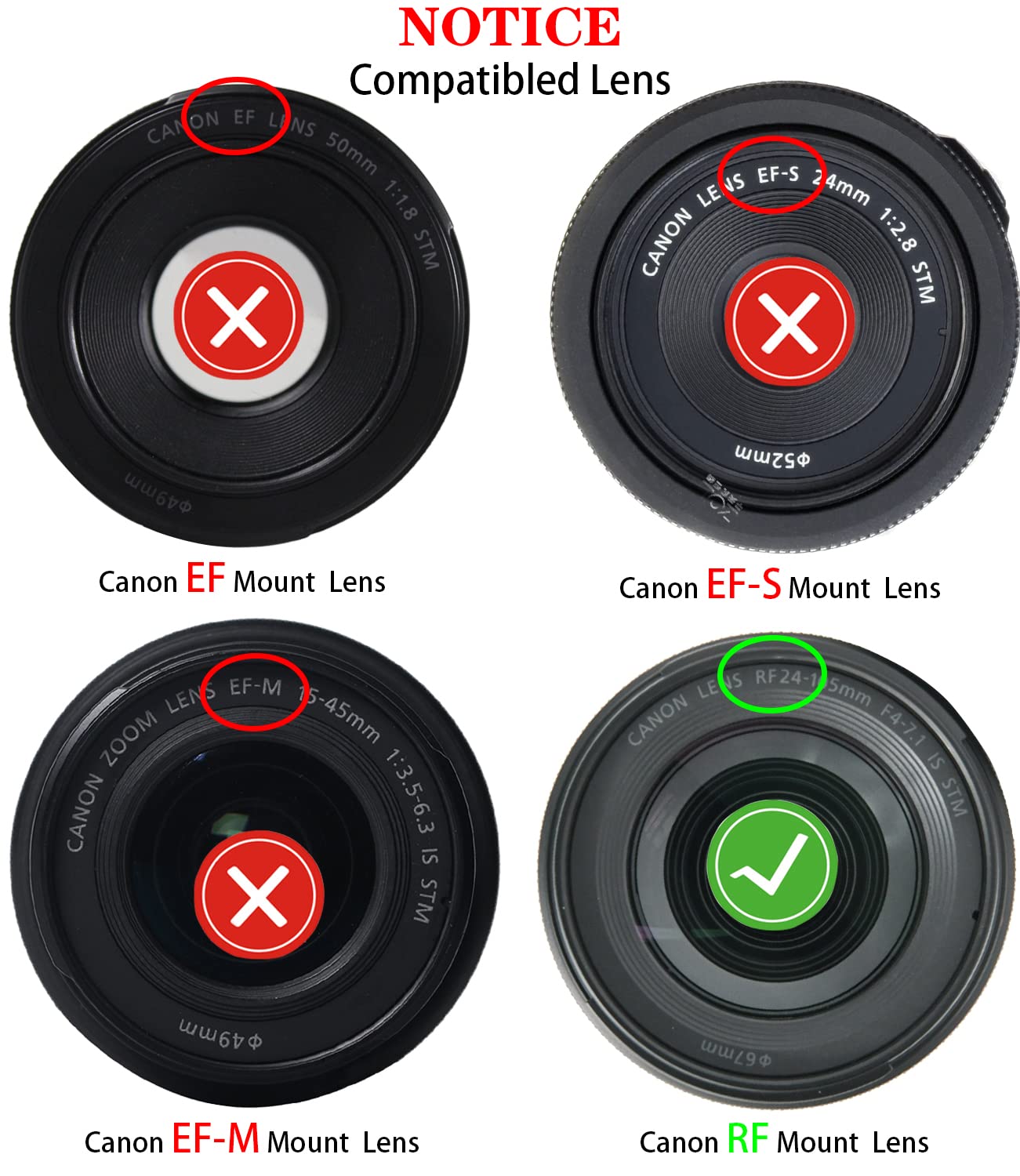 Canon EOS R5 II vs Canon EOS R7 Canon RF-S 18-45mm f/4.5-6.3 IS STM