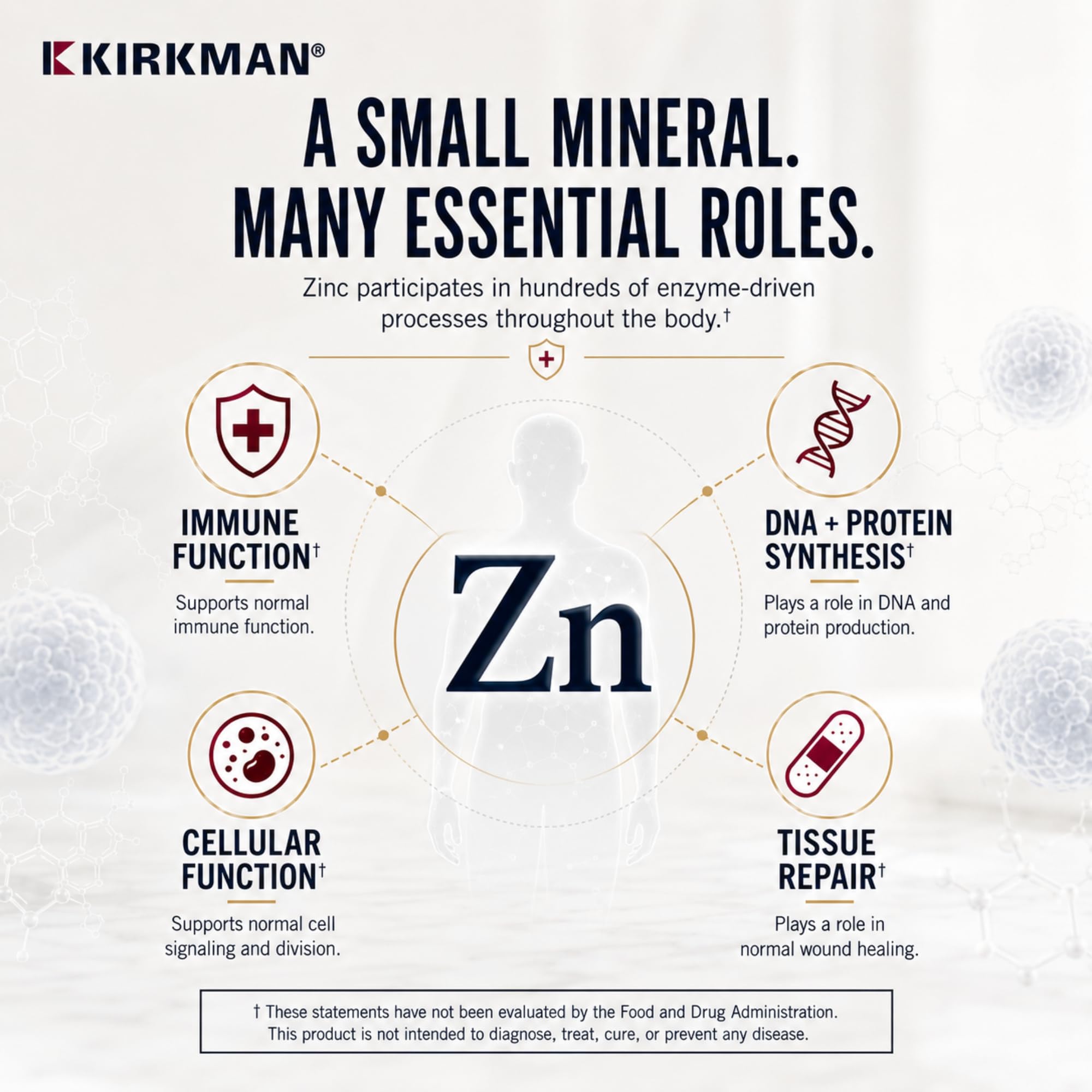 Kirkman Zinc 20 mg Hypoallergenic Mineral Supplement, 250 Veg Capsules — Amazon image 3