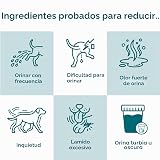 Ver la foto 2