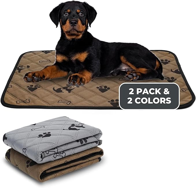 How To Train A Dog To Use A Piddle Pad at Debra Fell blog