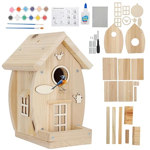 DIY Birdhouse Kit for Adults - Wooden Craft House to