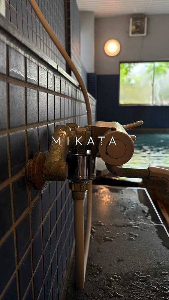 Amazon | MIKATA シャワーカートリッジ シングル（ホワイト