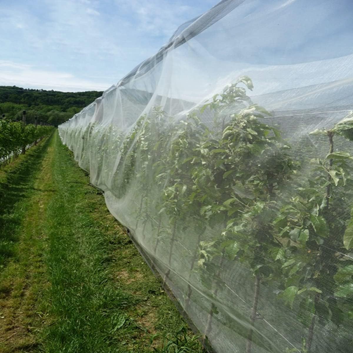 Pest Barrier Netting Bugs Out Insect Barrier Net Vegetable Fruit Tree Protection Net