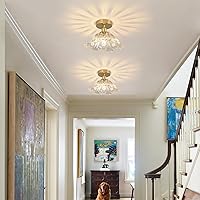 Vista 7 de Semi Flush Mount Ceiling Light,Hallway Vintage Lights Fixture Ceiling Transparent 11" E26 Vintage Light Fixtures for Closet Hallway Kitchen Dining