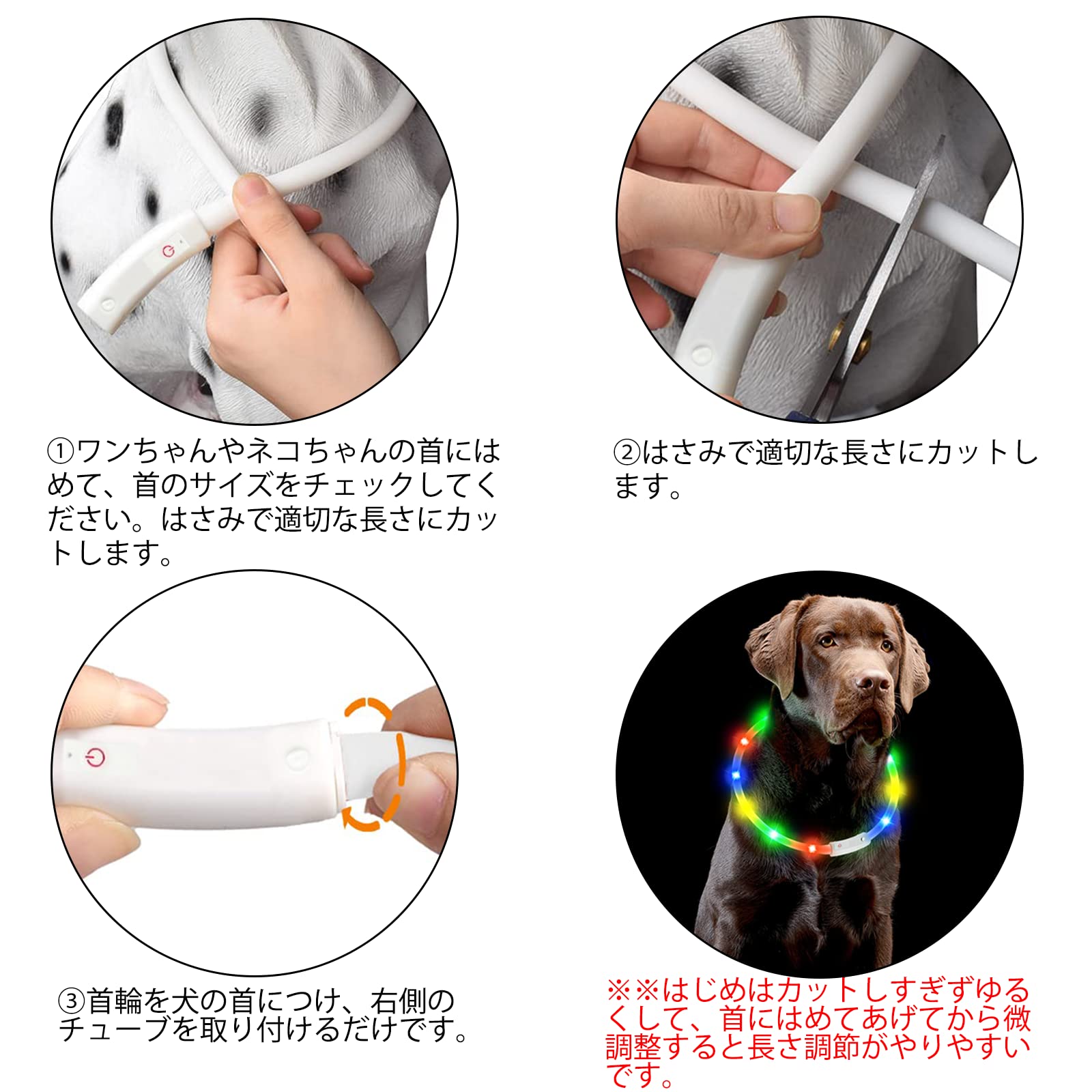 犬　わんちゃん　ドッグ　リング　調整可能 Amazon | Exgox 光る首輪 犬猫用 散歩 夜 ライト USB充電式 小型犬