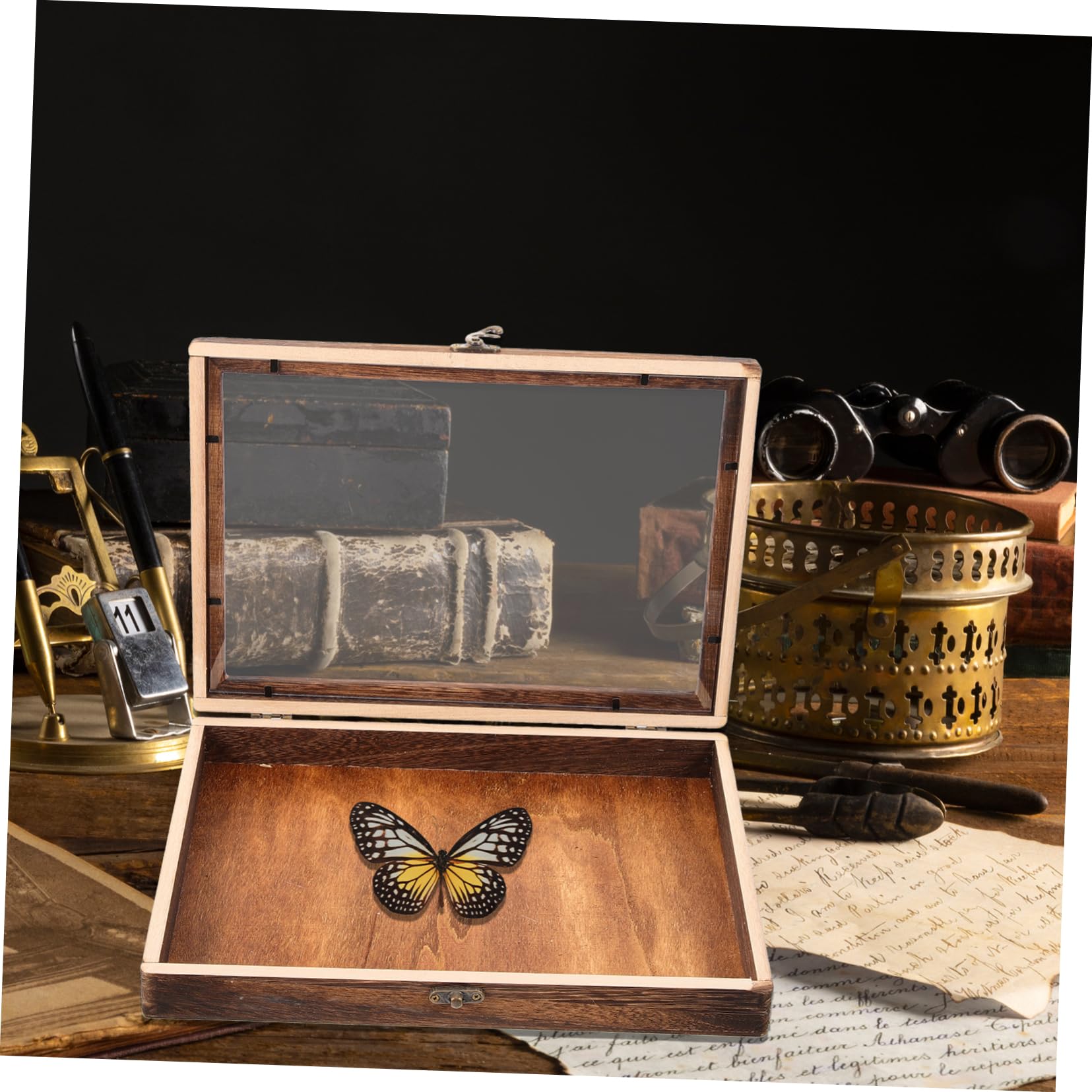 Amazon｜Cabilock 昆虫展示ケース 木製 透明窓付き 32×23×4.5cm 多機能