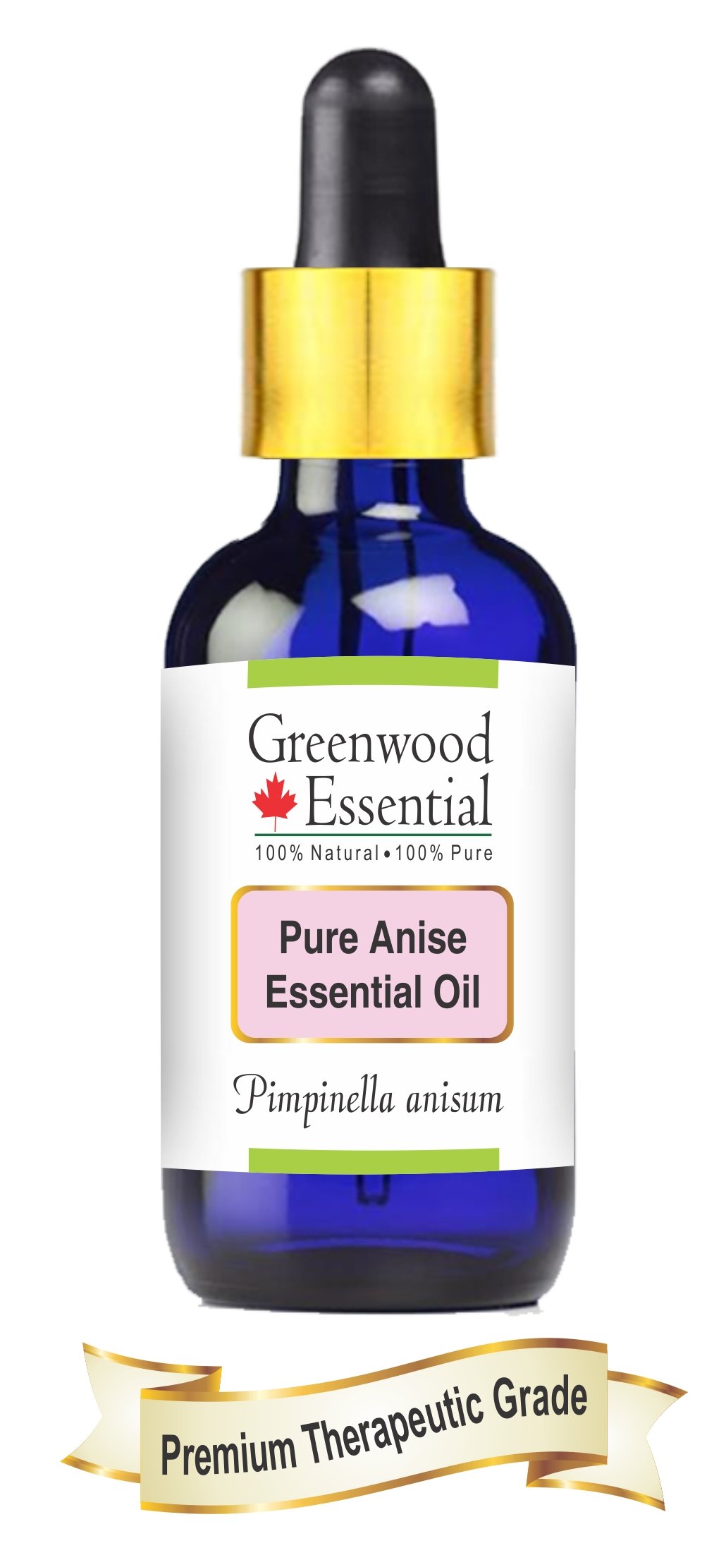 Greenwood Essential Pure Anise Essential Oil (Pimpinella Anisum) with Glass Dropper 100% Natural Therapeutic Grade Steam Distilled for Personal Care 50ml