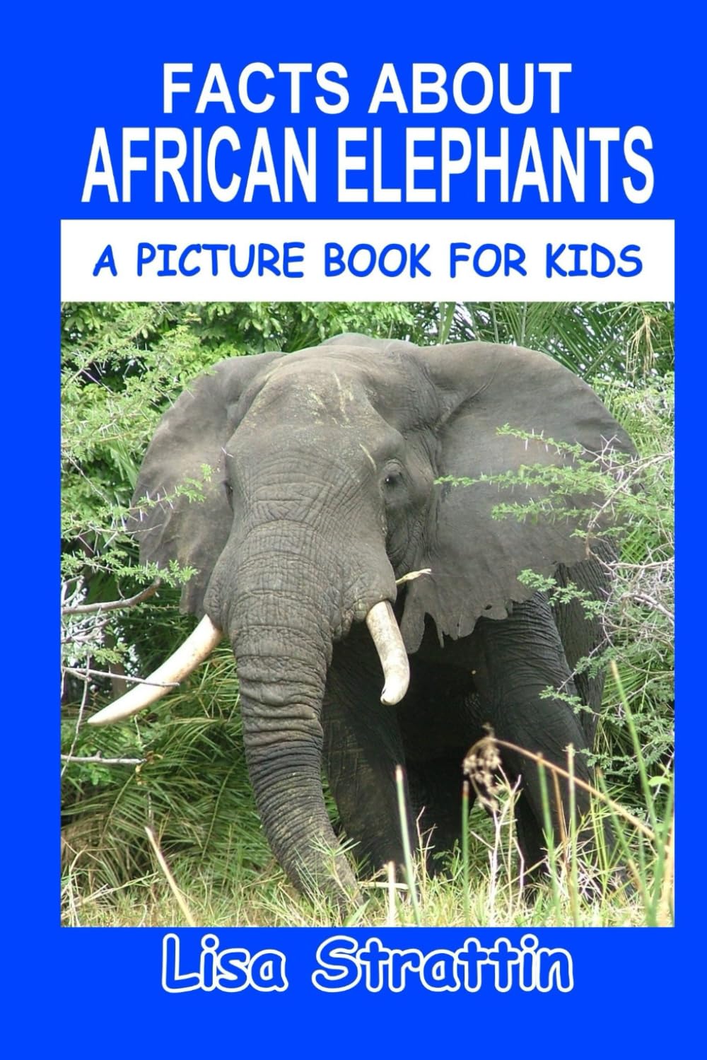 Facts About African Elephants: A Picture Book For Kids: Volume 8 (Facts For Kids)