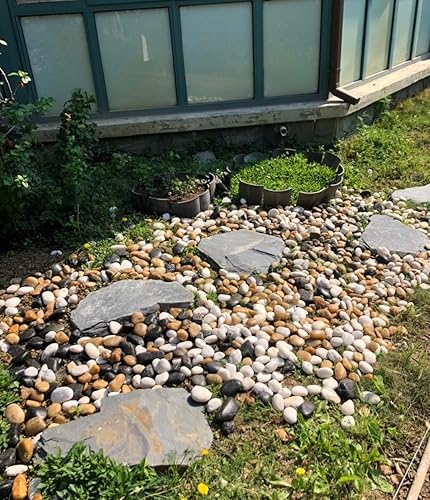 Miniatura 19 de Piedras pequeñas para plantas, 5 libras, piedras de río naturales lisas y coloridas para plantas, rellenos de jarrones, grava de acuario