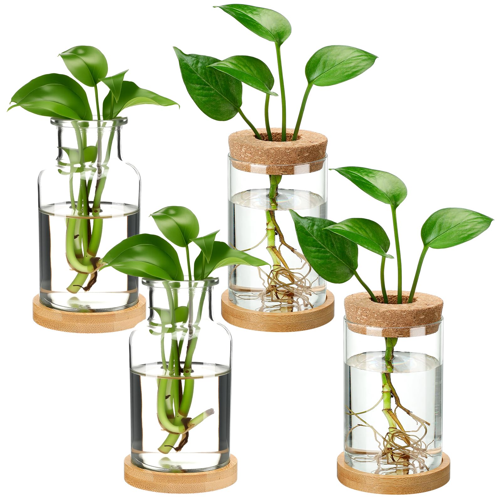 Plantes hydroponiques et jardinage d'intérieur : décorez votre bureau avec style