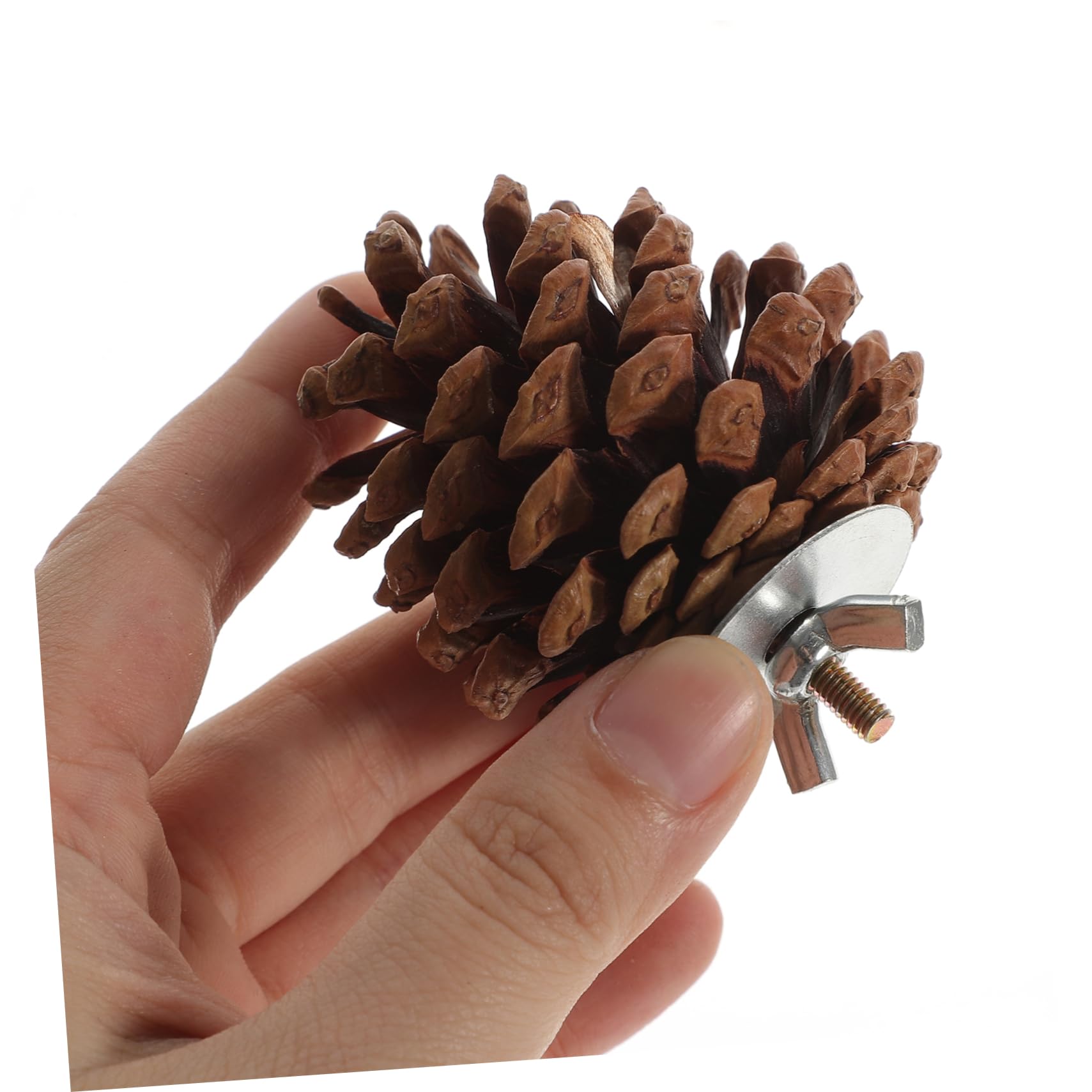 minkissy 50 piezas de juguete masticable para pájaros, juguetes de cacatúa, jaula de pájaros, juguete para mascotas, periquito, jaula de pájaros, suministros de loro, juguetes para pájaros, conos de