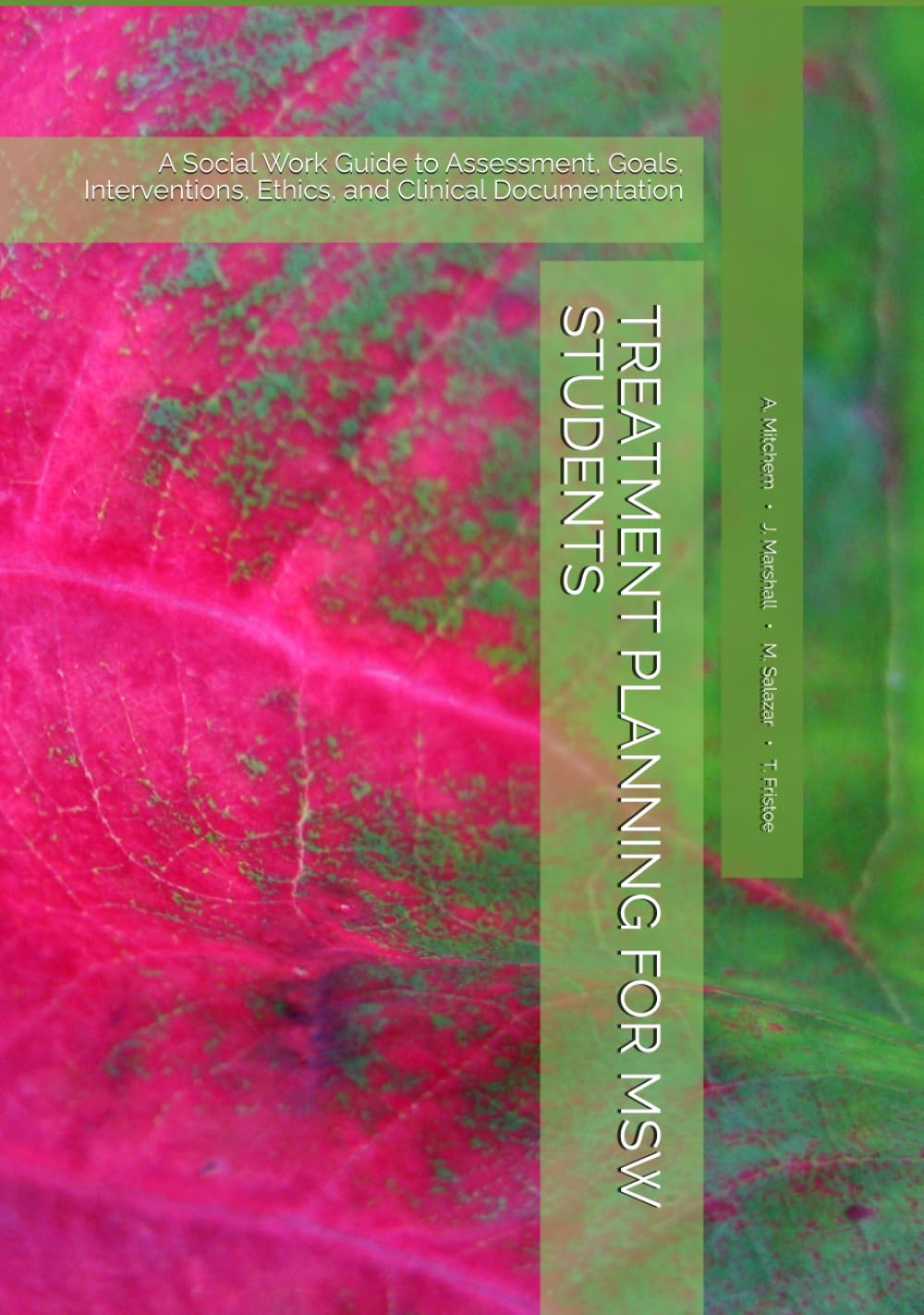 TREATMENT PLANNING FOR MSW STUDENTS: A Social Work Guide to Assessment, Goals, Interventions, Ethics, and Clinical Documentation