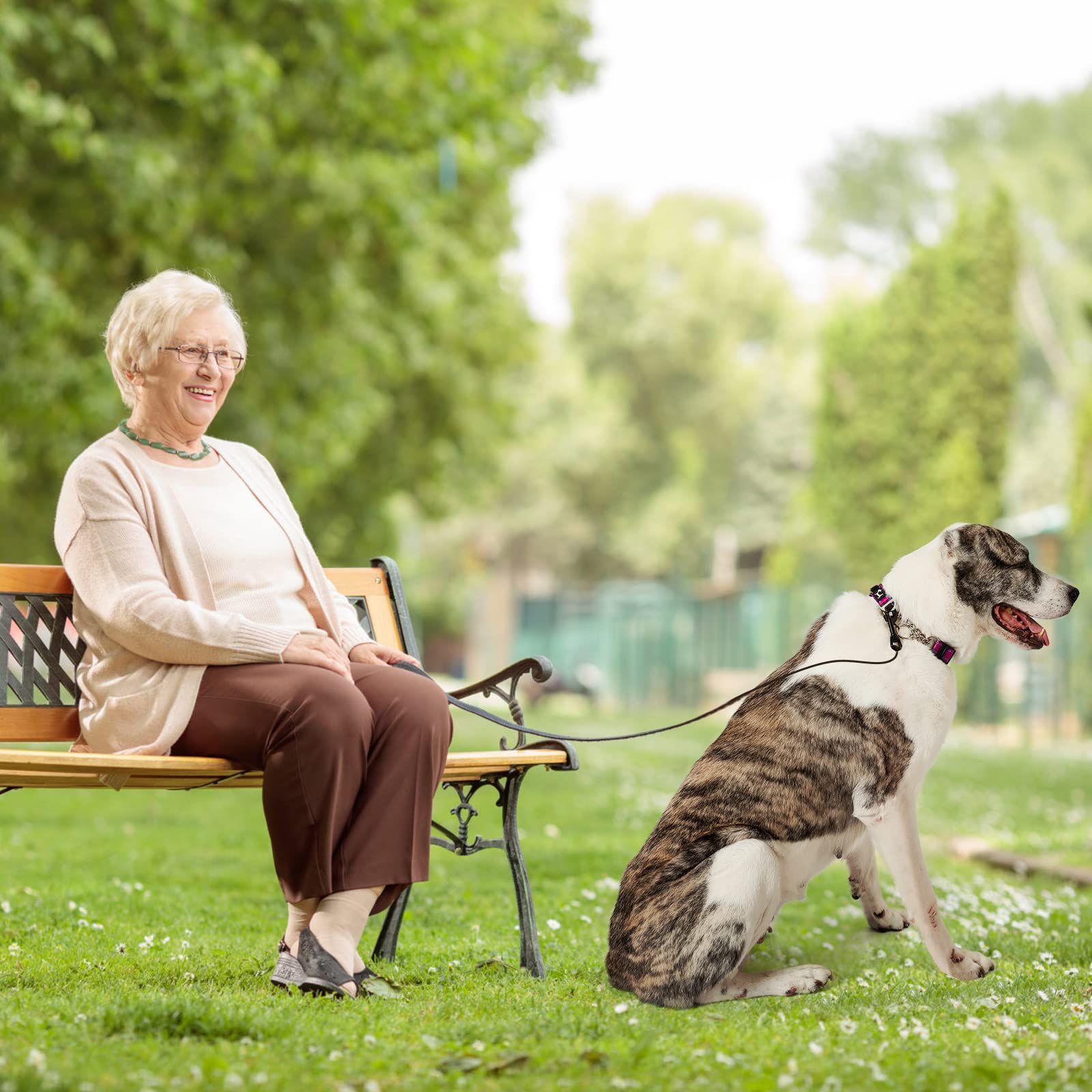 PETTOM Obroża dla psa o połowie zadławienia, regulowana, odblaskowa nylonowa obroża dla psa, odporny na żucie, metalowy łańcuszek, obroża w połowie kratkę, dla średnich i dużych psów (rozmiar M: 43-52 cm, różowa)