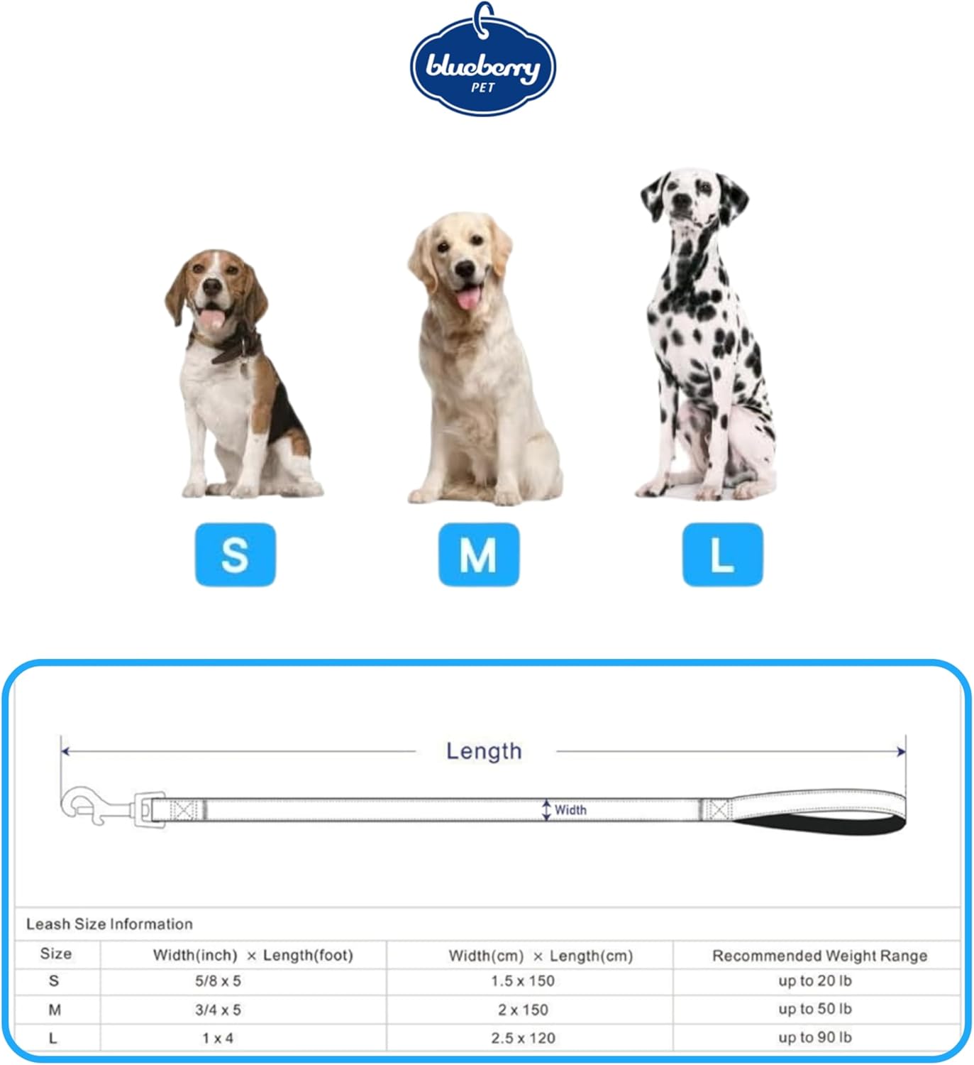 Blueberry Pet Essentials Reflective Better Basics Matching Dog Collar Leash Harness Set in Dark Green, Adjustable Collar with Harness & 5 ft Leash for Medium Dogs