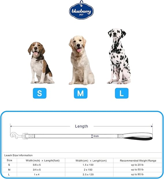 Blueberry Pet Valentine's Day Dog Leash, Velvety Soft-Touch Heart Flocking Lead for Small Dogs, Gothic Grape, 5 ft x 5/8
