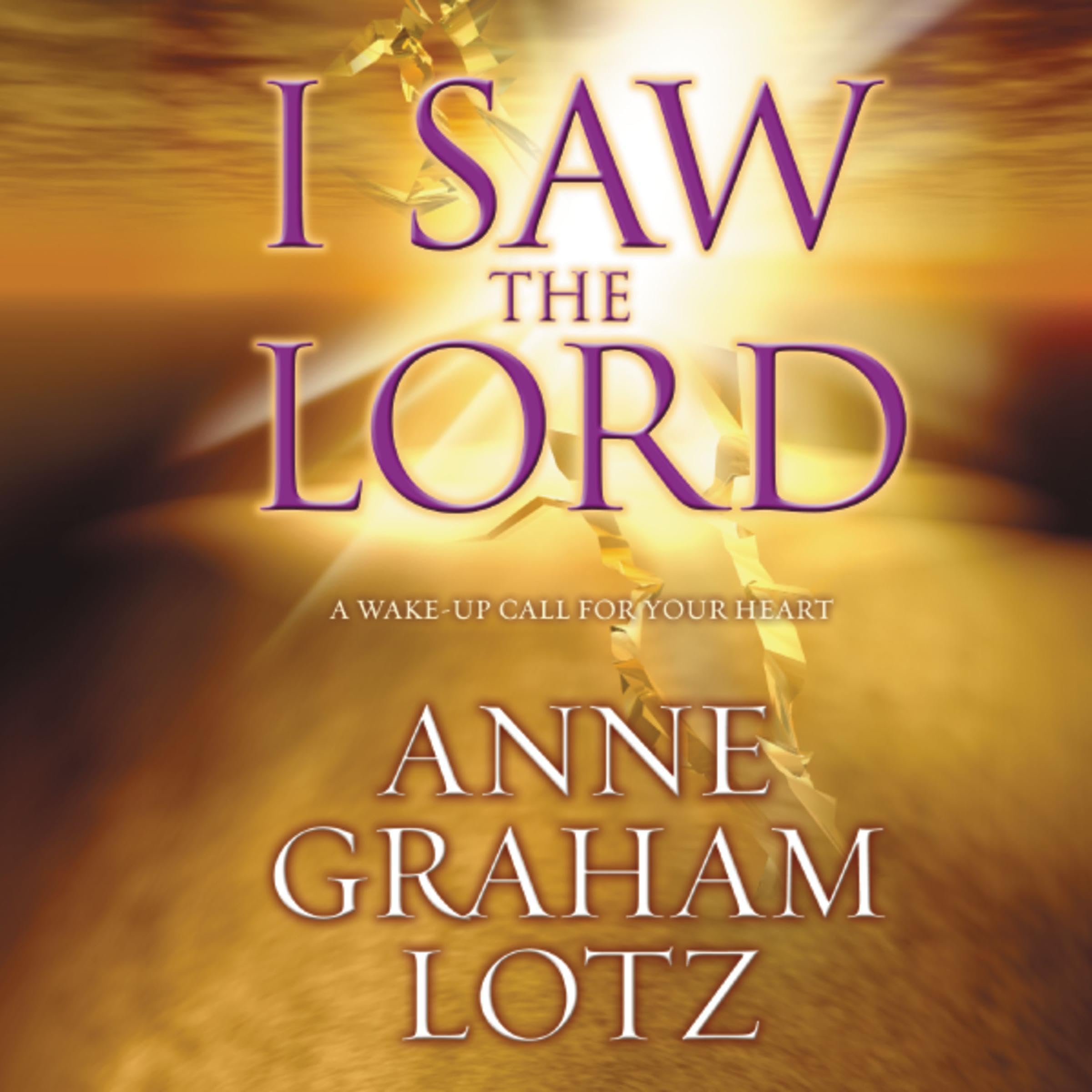 Cover art for I Saw the Lord