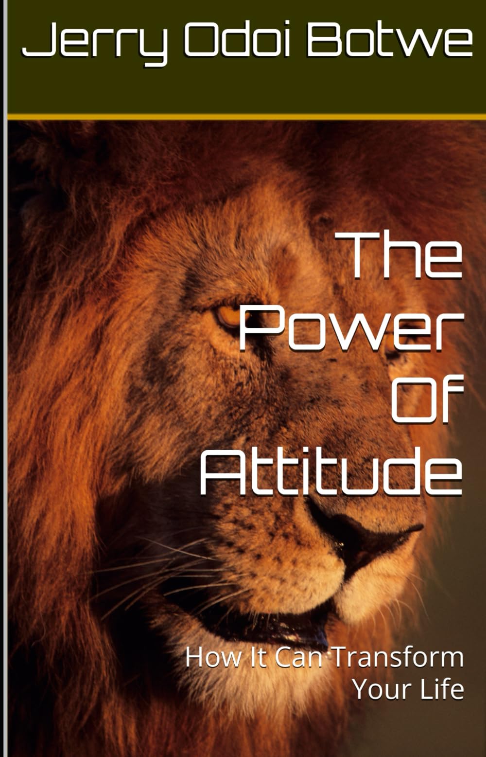 The Power Of Attitude: How It Can Transform Your Life