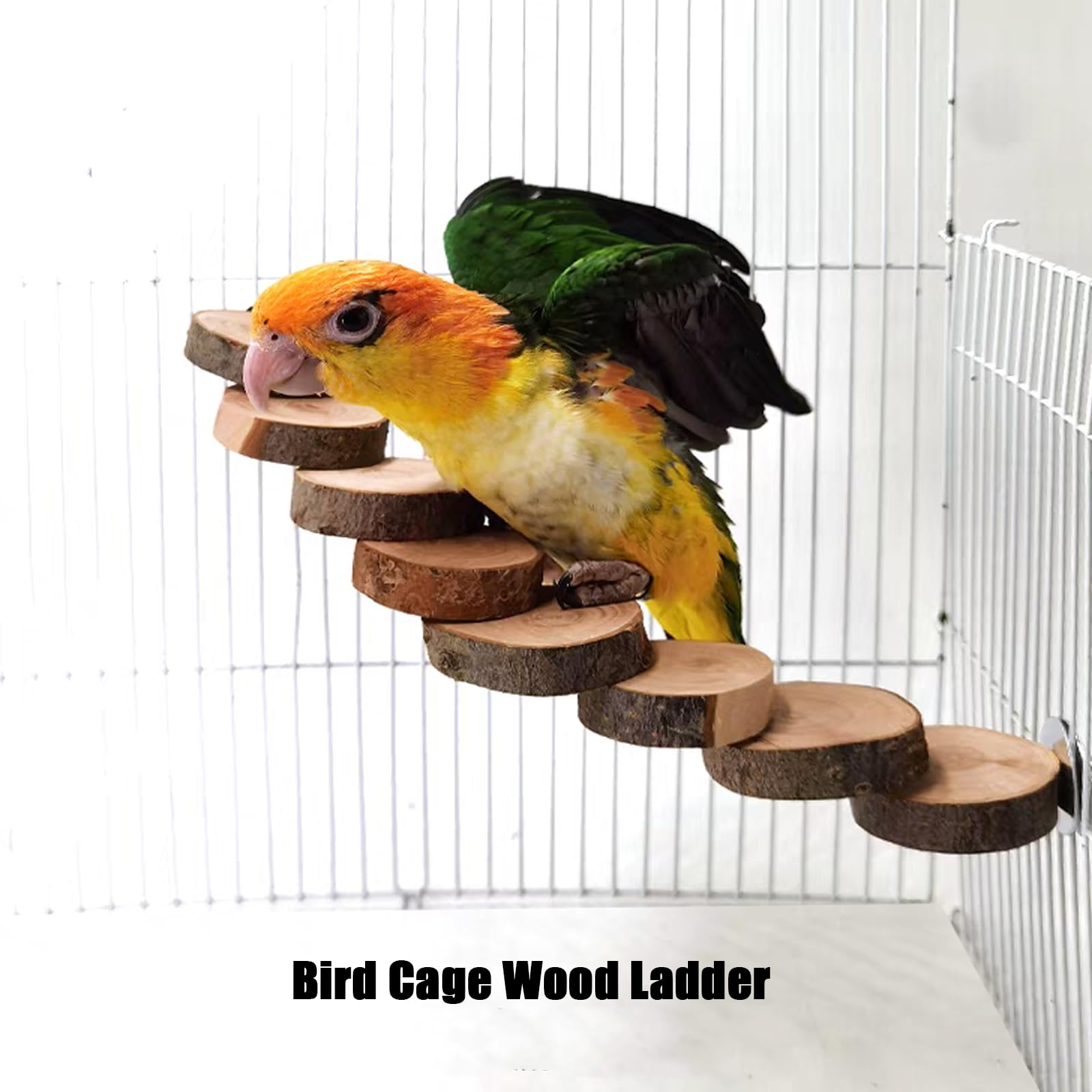 Échelle en bois pour perroquet, perchoir à oiseaux, plate-forme à oiseaux, jouet d'escalade à 8 marches, échelle pour hamster, accessoires de cage pour petits animaux