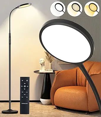 Tenmiro LED Floor Lamps for Living Room, Bright 12V Modern Reading Floor Lamp with Stepless Adjust Color Temperatures & Brightness, Standing Lamp with RF Remote & Touch Control (Black)