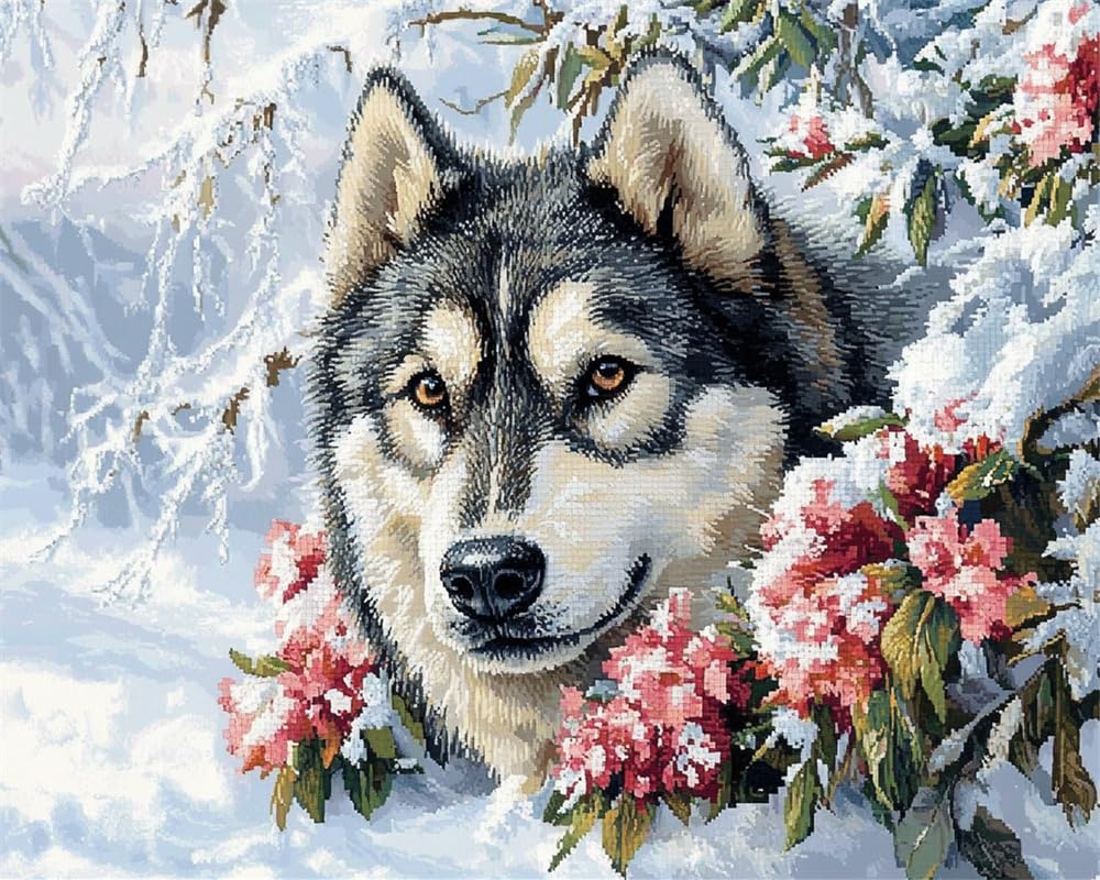 Henypt Cross Stitch Kits Alaskan Malamute and Flowers in The Snow for Adults Pre Printed, DIY 11 Count Embroidery Sewing Starter Kit Stamped Needlework Easy Beginners (Stamped)