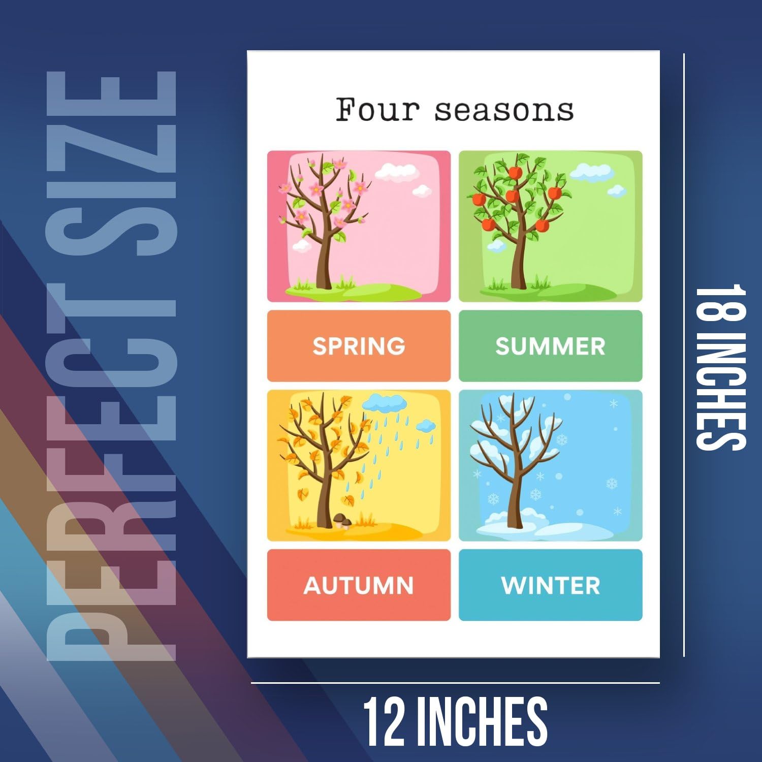 Amazon.com: Four Seasons Weather Poster - Classroom Poster For