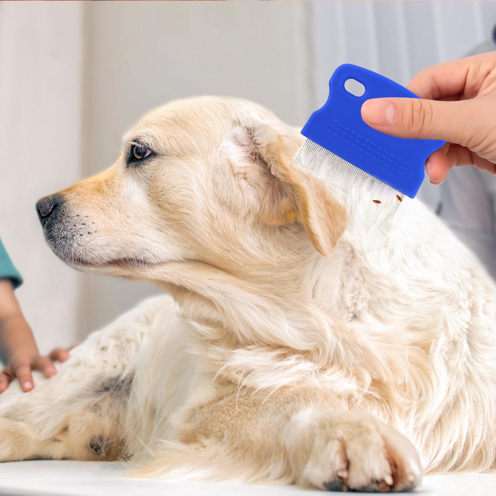 Katze Hund Flohkamm，Pet Reißen Fleck Entferner Kamm Set Pet Hund Pflege Kamm，Haustierkamm Profi Entfernen Floh，Mehrzweck Werkzeug，für Hund & Katze