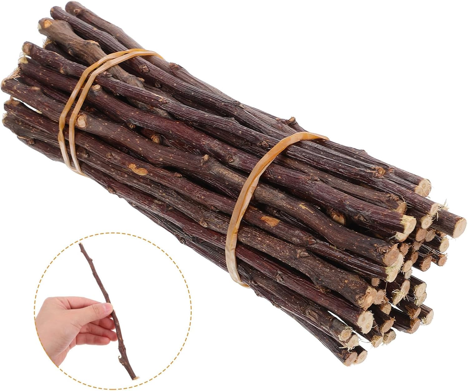 Gadpiparty 50Pcs Natural Birch Wood Log Sticks for Crafts Smooth Twigs DIY Handmade Decorations Photo Props Rustic Home Wedding Party Creative Craft Supplies