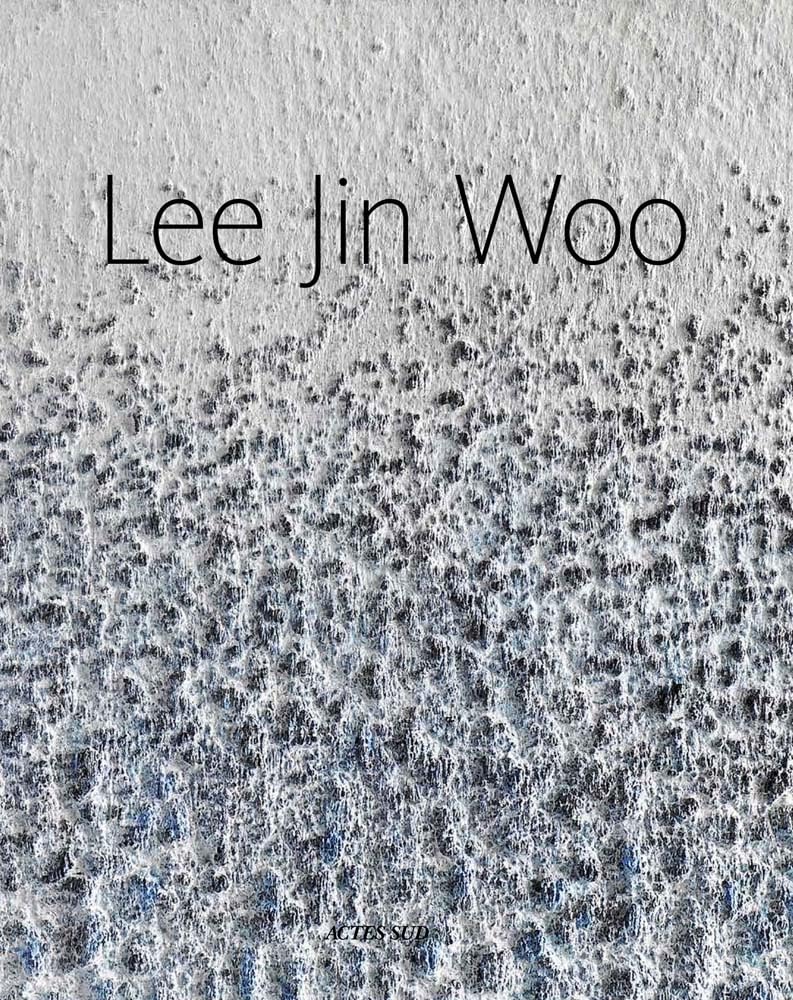 Lee Jin Woo figurine robuste sans décoloration pour collectionneur exigeant