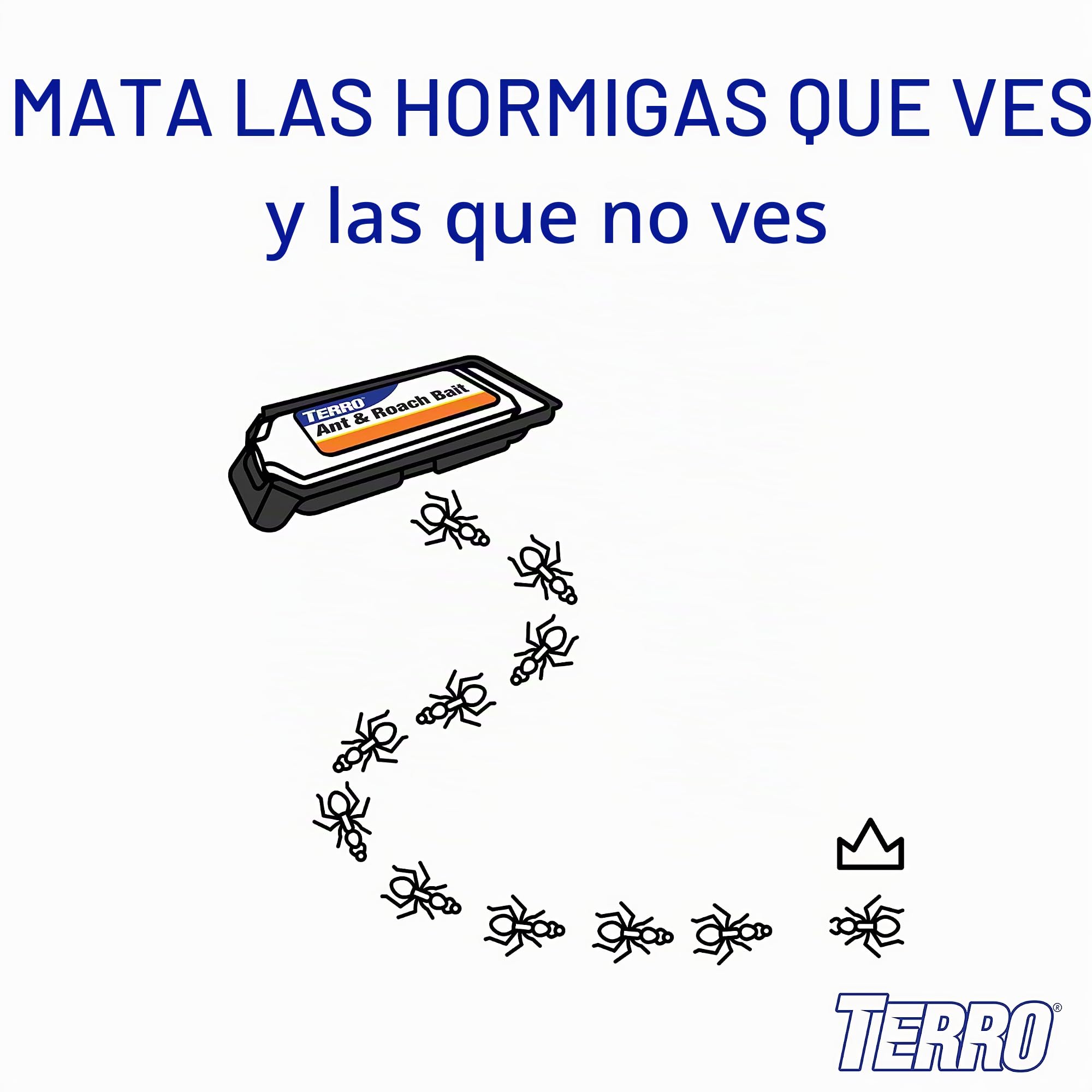 Terro T360 Ant y Roach bait estación, pack de 4 unidades