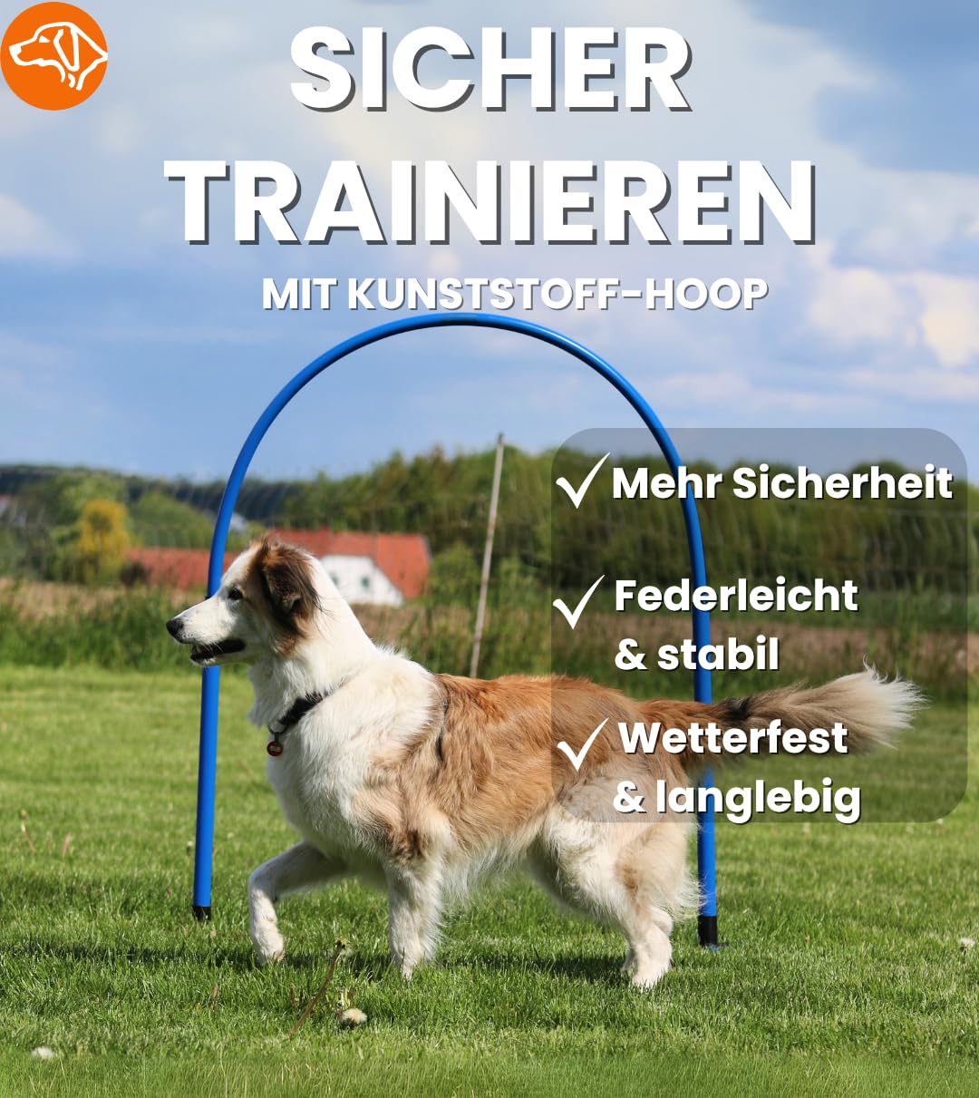 Hoopers Hoop – wetterfest, VDH-konform & farbig – mit Stecksystem für sicheres Hundetraining – aus robustem Kunststoff – Flexibler Hundesport-Reifen mit Stecksystem – Blau/Orange