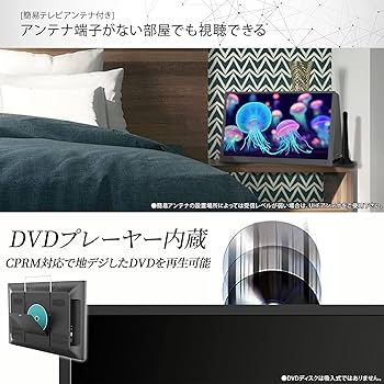 Amazon | [大阪Deco] 15.6型 ポータブルTV 地デジチューナー搭載 DVD