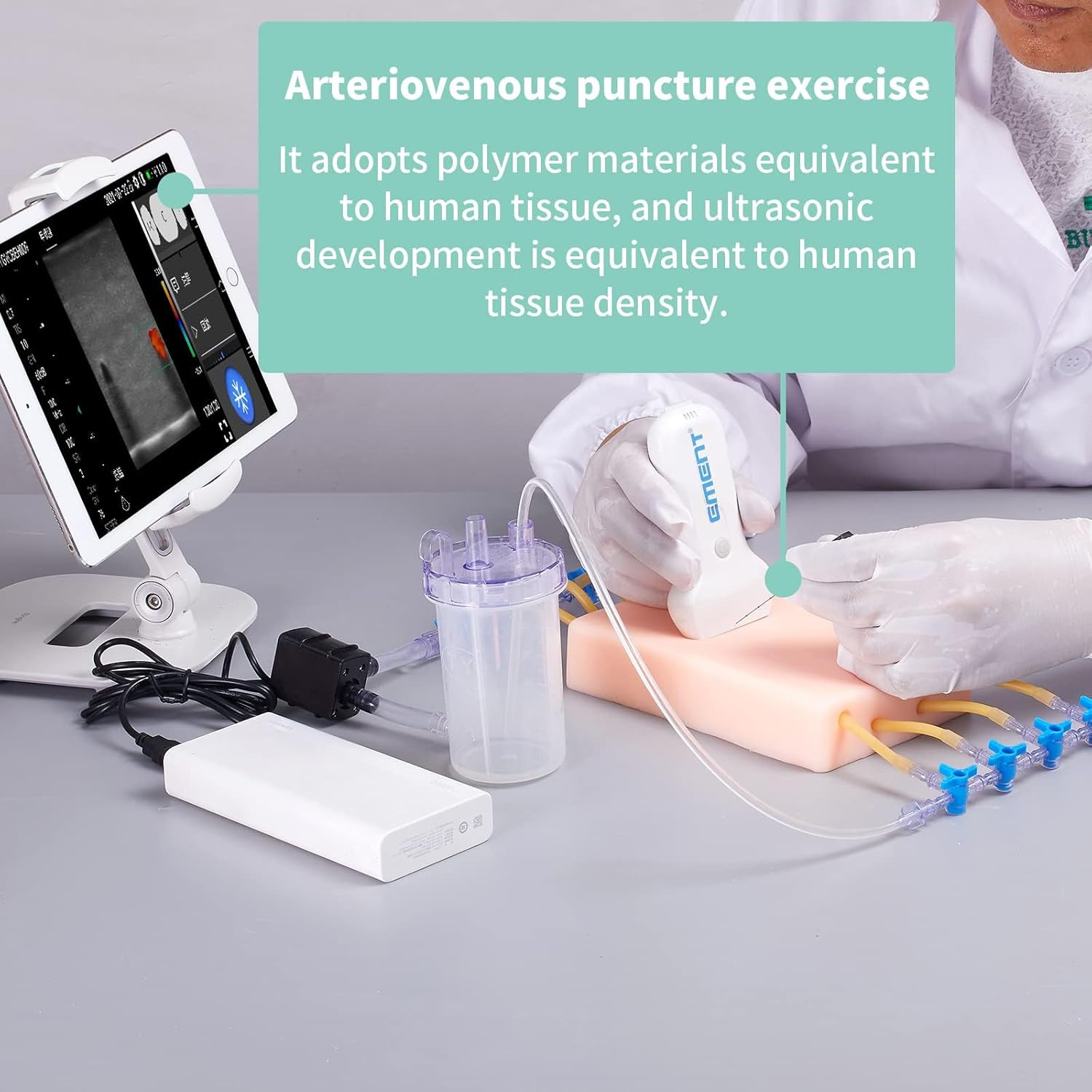 PICC Catheterization Vascular Puncture Model with Blood Circulation System, Insertion Injection Training Pad, Different Depths of Blood Vessels, for Puncture Teaching Practice Training
