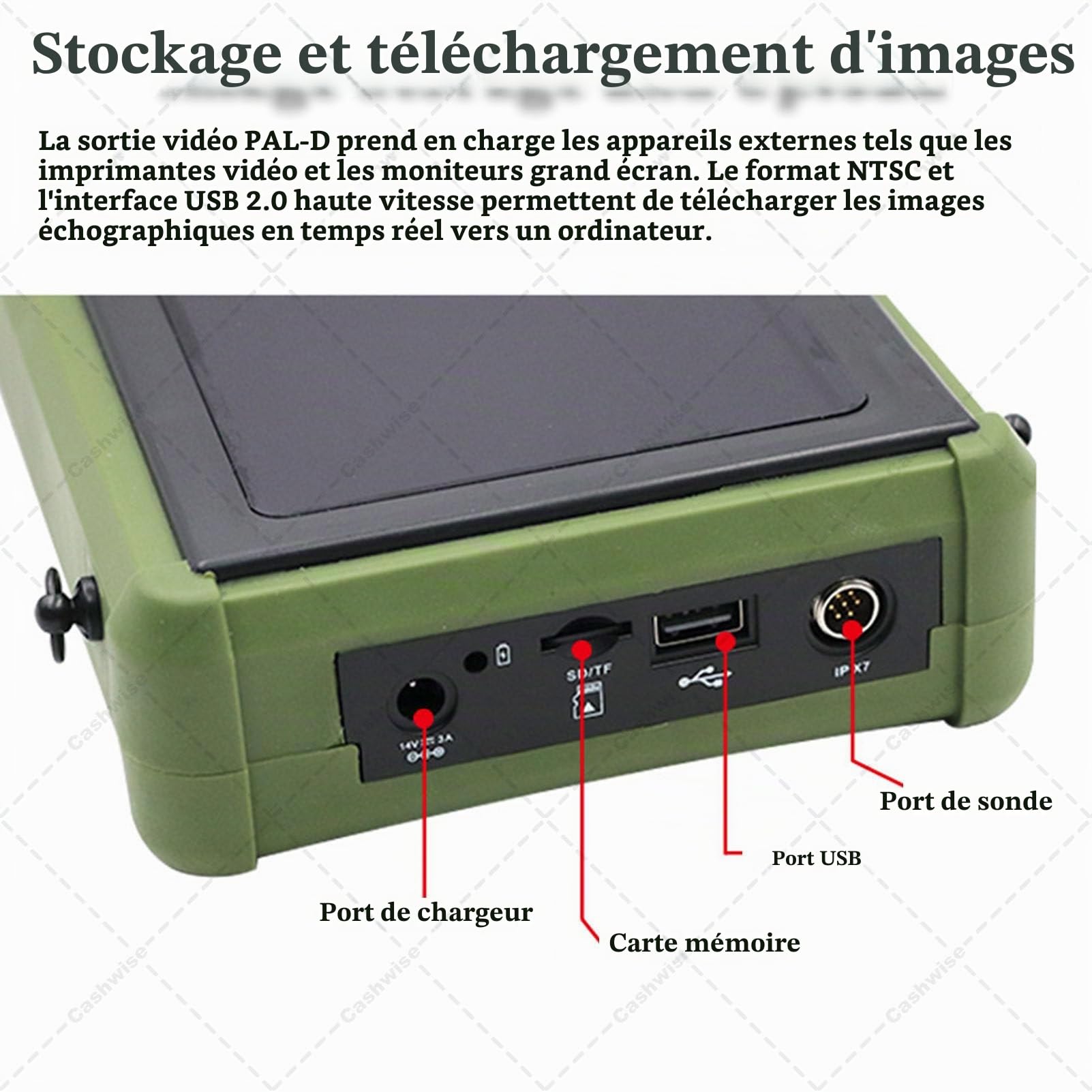 Échographe vétérinaire Portable, sonde 3,5 MHz, écran LED 5,6 Pouces, Images HD, pour la Gestation des porcs, Moutons, Chiens et Chats