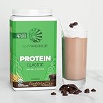 Poudre de protéines organiques véganes à base de plantes NON-GMO Chocolat sans produits laitiers 30 Servants Sunwarrior