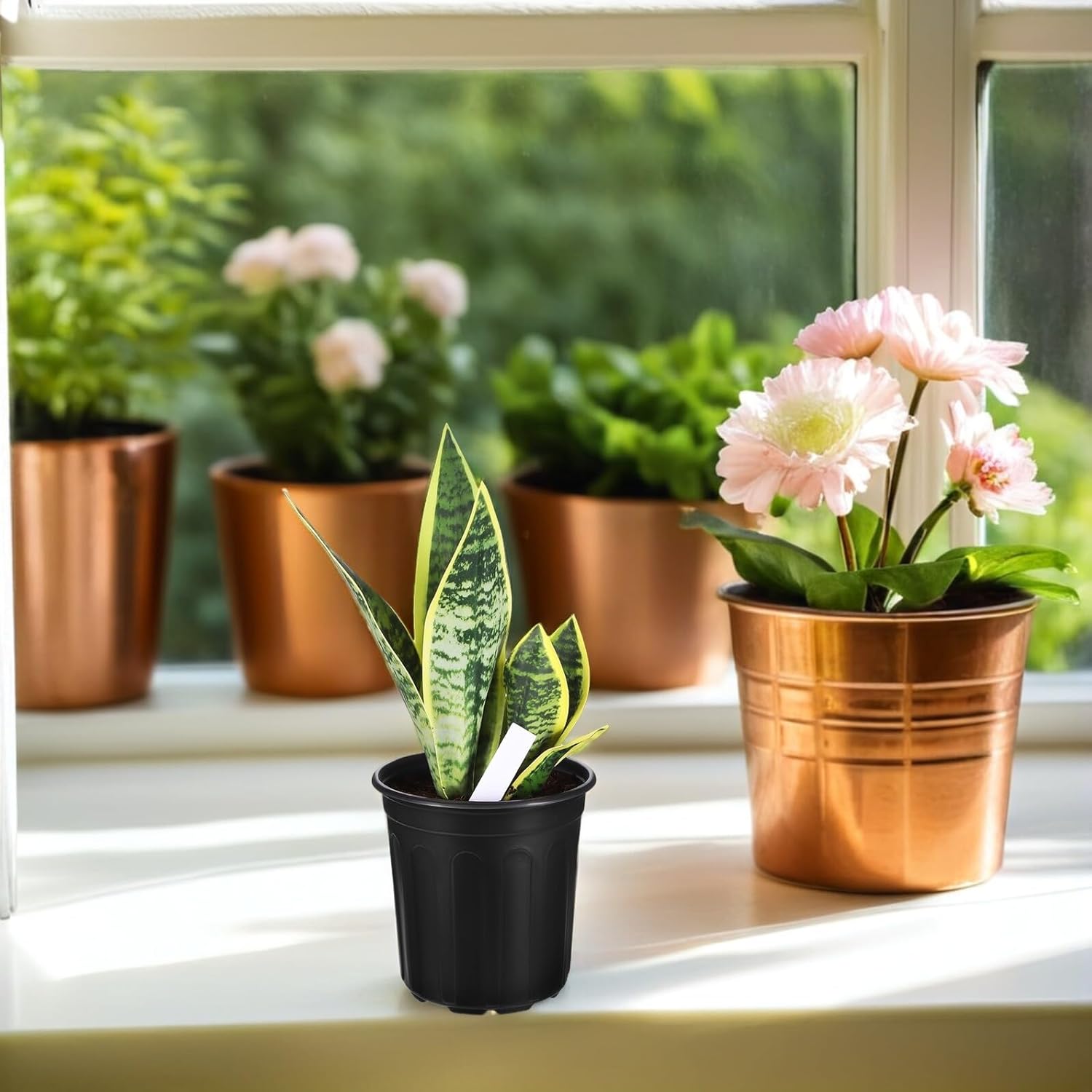 Beaupretty 50pcs Plastic Nursery Pots with Drainage Holes, Small Plant Starter Planter Pots for Indoor and Outdoor Gardening, 16.5cm Diameter Seedling Containers