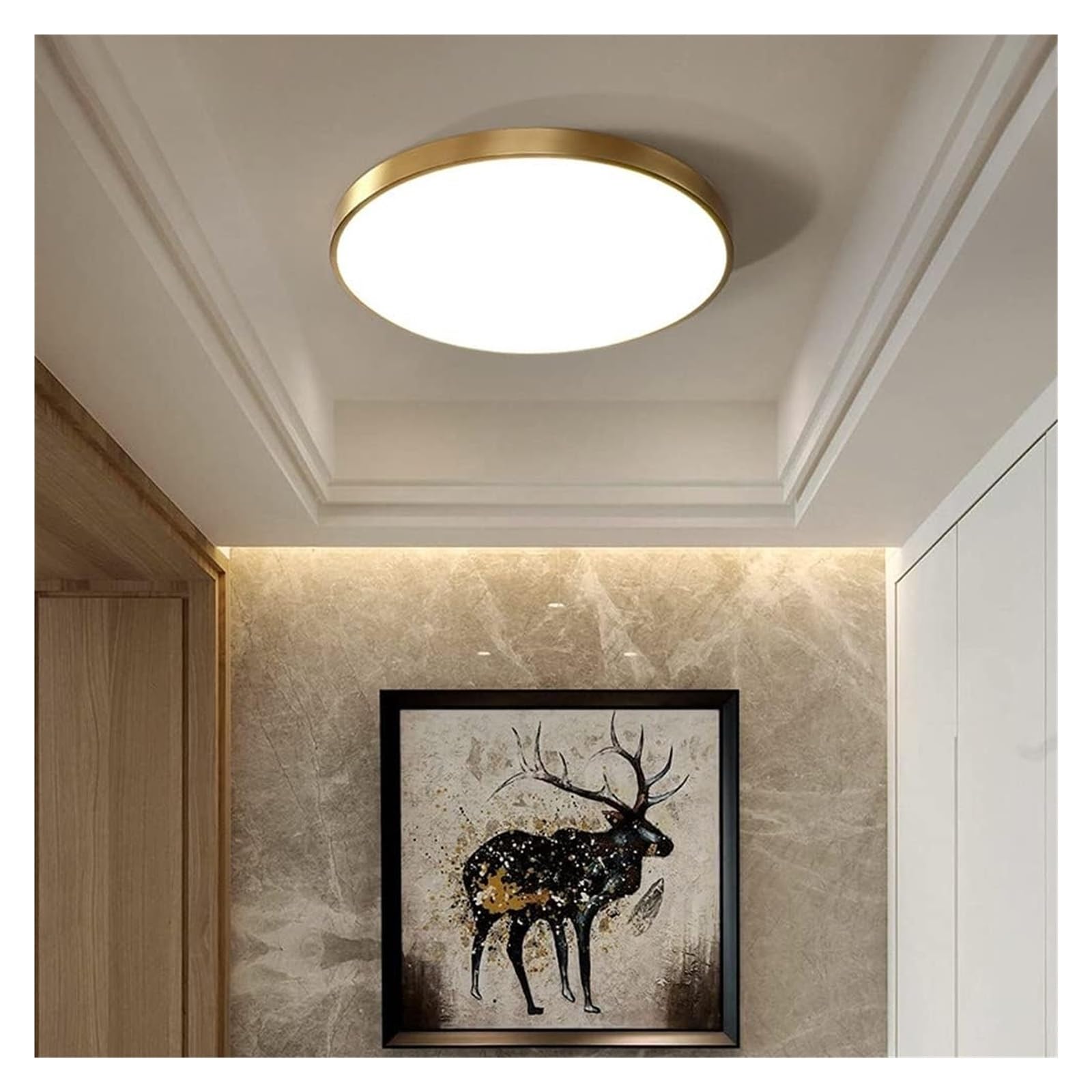 Plafonnier d'intérieur LED pour éclairer une pièce sombre