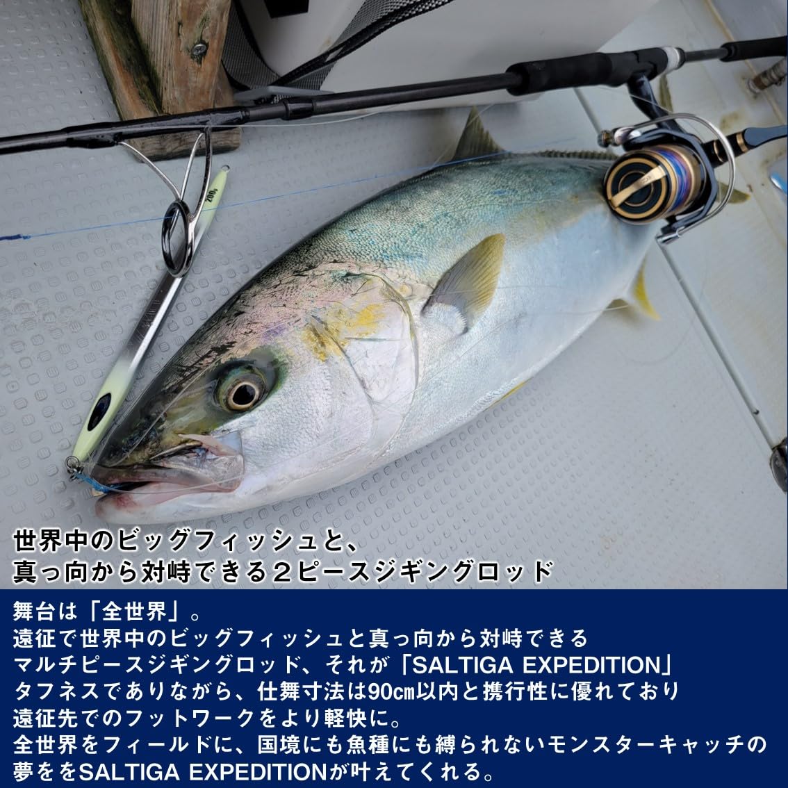 Amazon.co.jp: ダイワ(DAIWA) ジギングロッド SALTIGA(ソルティガ) J