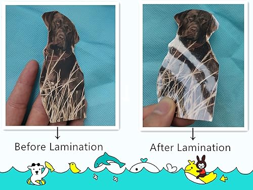 Miniatura 4 de Paquete de 20 papeles de plástico autoadhesivos transparentes, 4 x 6 pulgadas