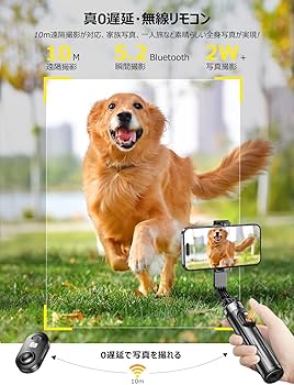 犬幹事長　ルスティック4脚 犬幹事長 ルスティック4脚 l_is202501030Lynx01.jpg