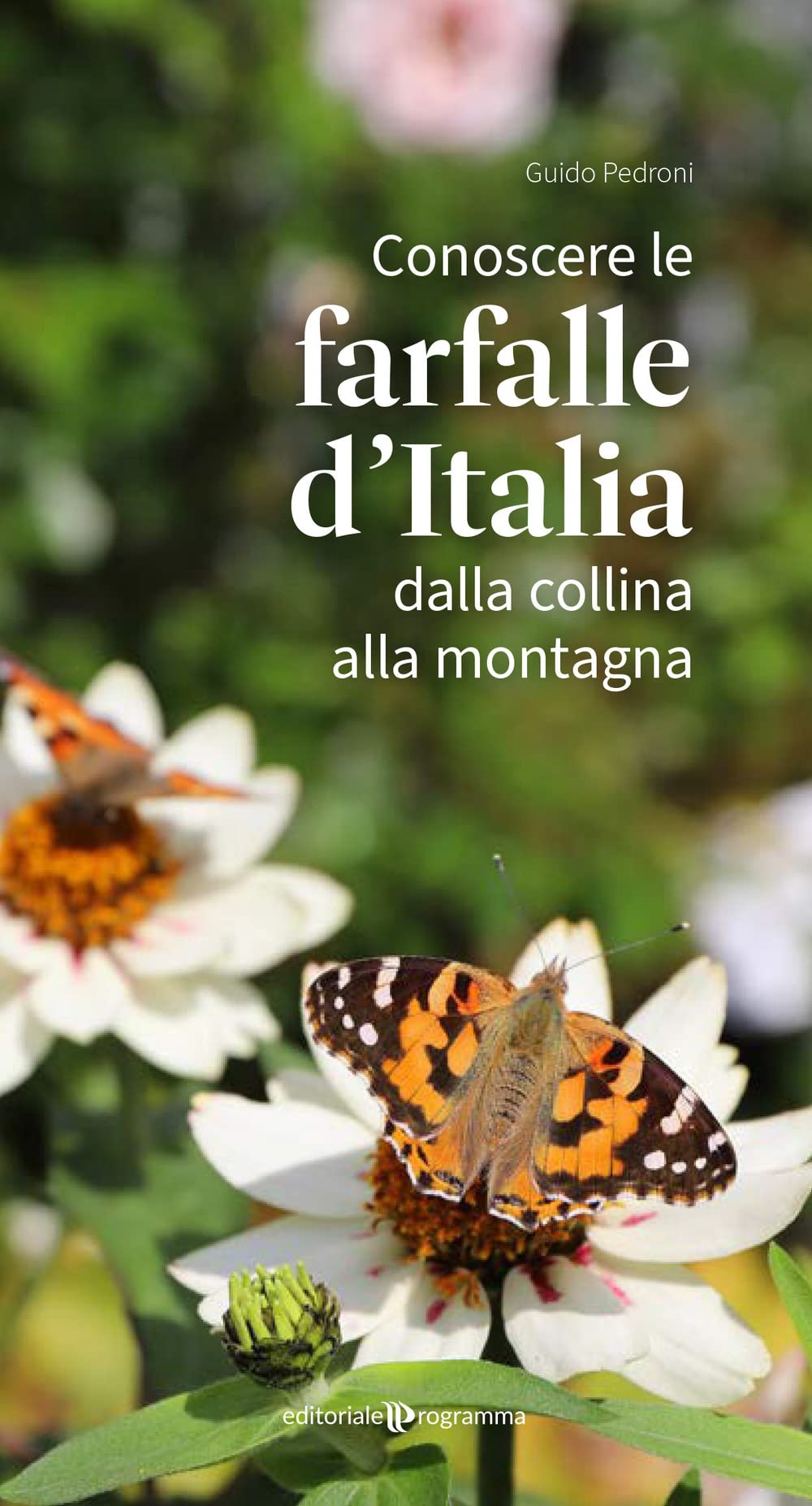 Conoscere Le Farfalle D'italia Dalla Collina Alla Montagna - 4