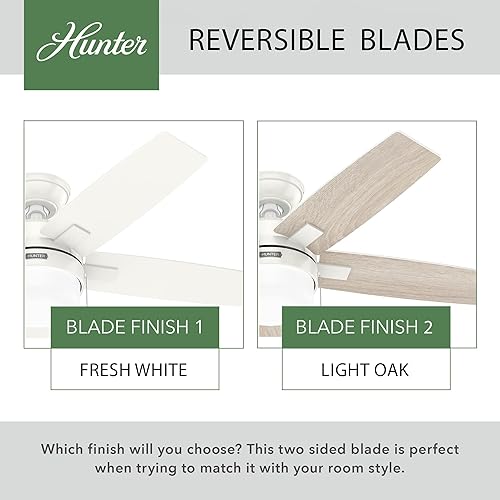 Miniatura 3 de Hunter Fan Ventilador de techo contemporáneo de 44 pulgadas con acabado blanco fresco con kit de luz LED y cadena de tracción (renovado)