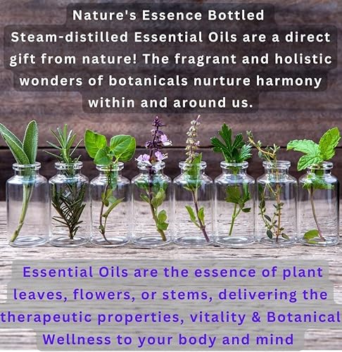 Miniatura 5 de BOGUE Organic Handmade Goat Milk Soap-calming essential oils of Lavender, Frankincense, Clary Sage & Chamomile to help reduce stress-N34 WELLNESS